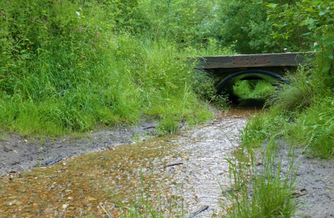 Snipe Dales Country Park