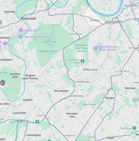 dog sitters in south west london