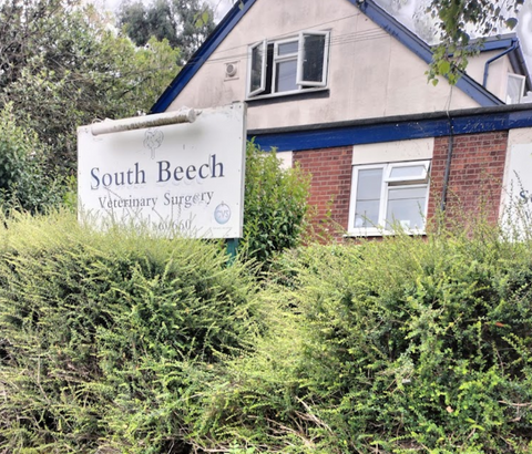 South Beech Veterinary Surgery - Wickford