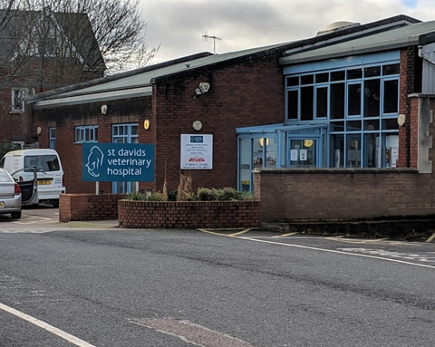 St David's Veterinary Group - Exeter