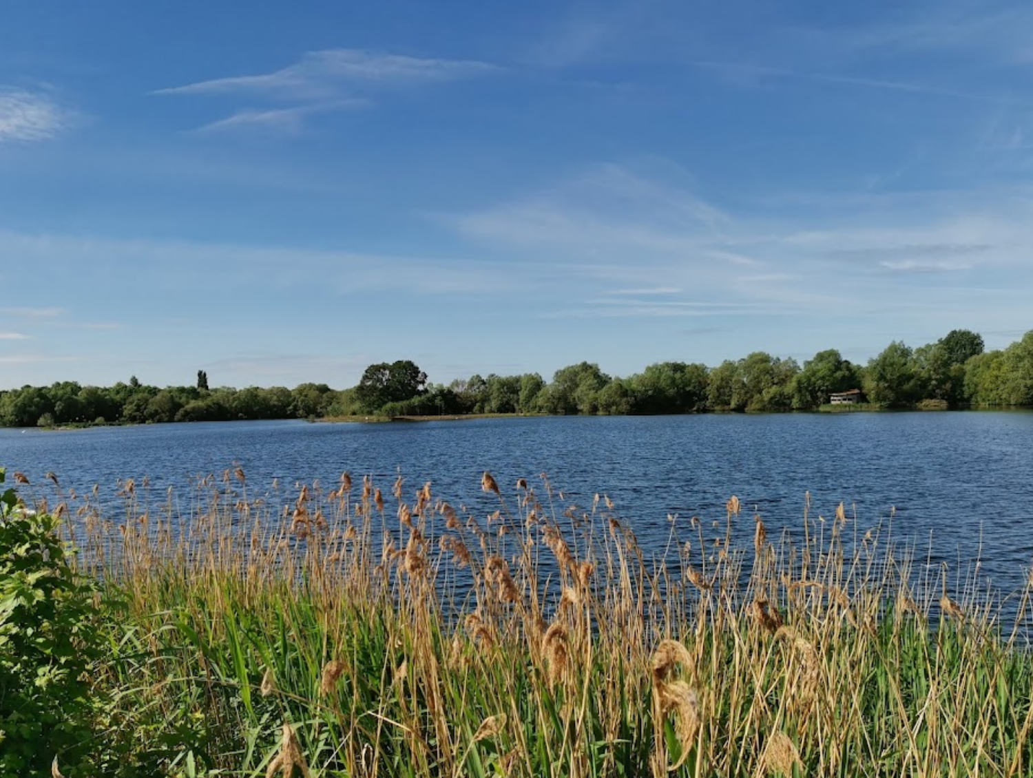 Stanwick Lakes