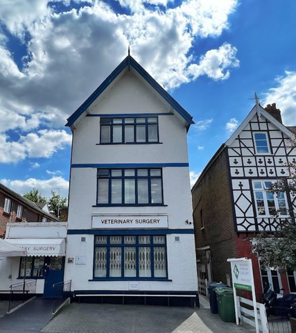 Streatham Hill Vets 4.6⭐️