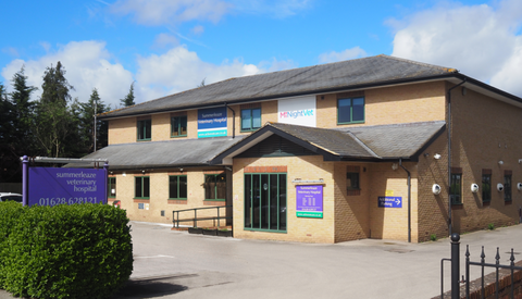 Summerleaze Veterinary Hospital (Active Vetcare)