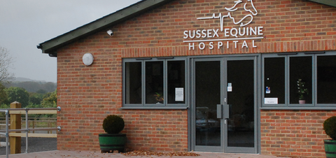 Sussex Equine Hospital - Ashington