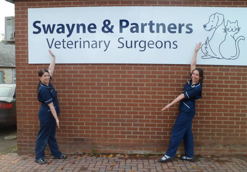 Swayne &amp; Partners - Newmarket
