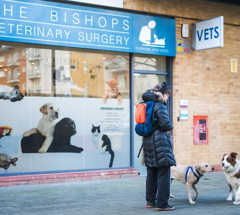 Bishops Veterinary Surgery - Hatfield