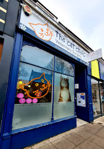 The Cat Clinic - Southsea
