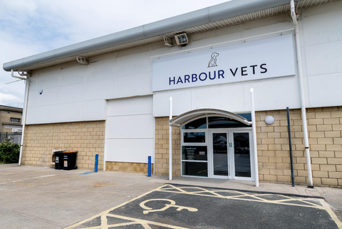 Harbour Veterinary Group - Southsea