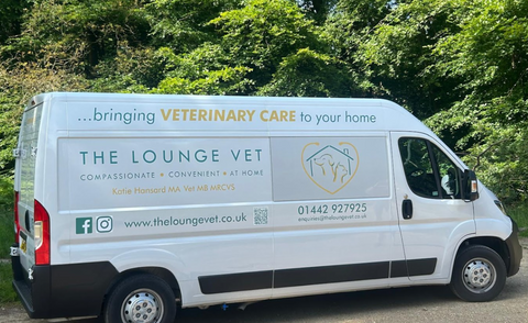 The Lounge Vet - Chesham