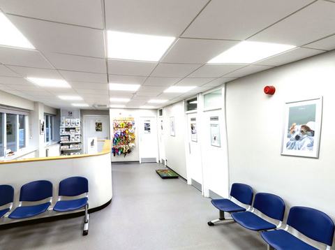 Minster Veterinary Practice - York