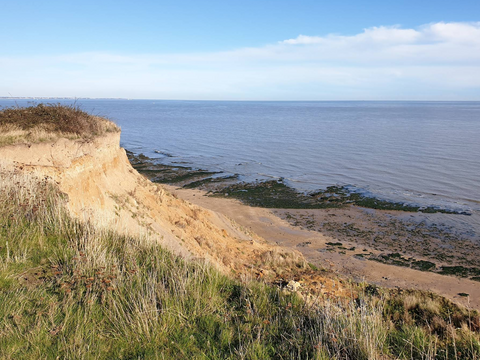 The Naze at Walton-on-the-Naze best places to take my dog to swim in essex