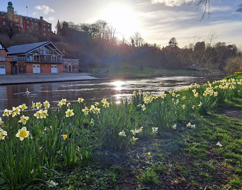 The River Severn at Quarry Park, Shrewsbury