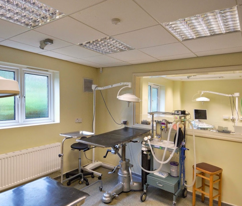 Townsend Veterinary Practice - Bromsgrove