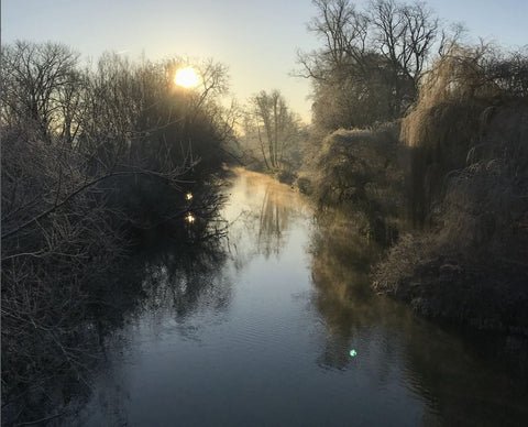 A lake with trees around, university park