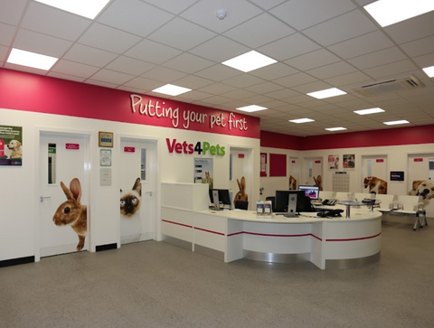Vets4Pets - Leicester