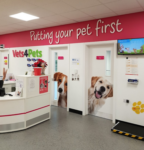 Vets4Pets - Bagshot