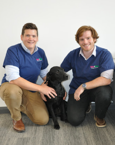Vets4Pets - Newbury