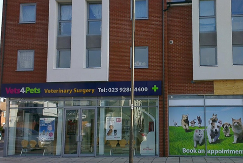 Vets4Pets - Portsmouth