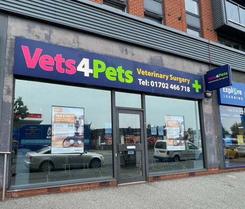 Vets4Pets - Southend
