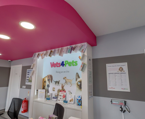 Vets4Pets - York