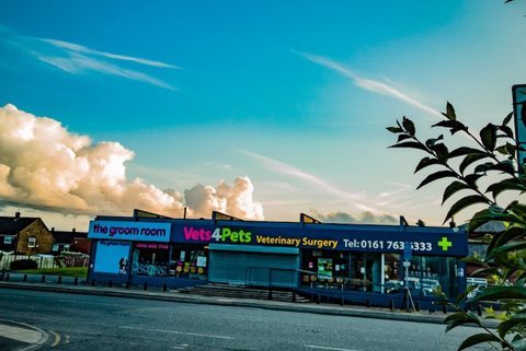 Vets for Pets - Bury