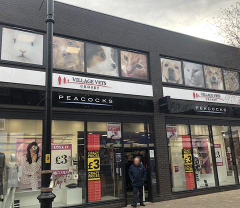 The Village Vets - Crosby