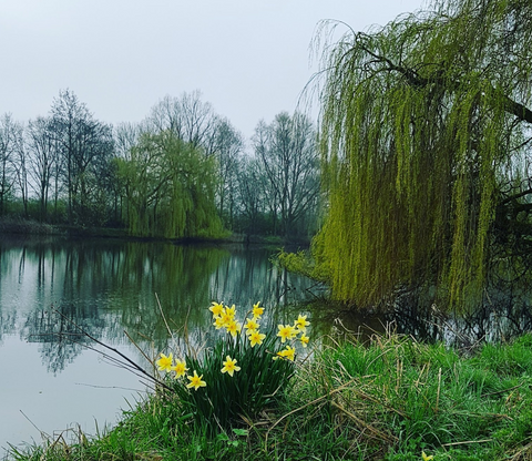 Watermead Country Park