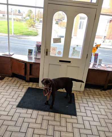 Weardale Veterinary Clinic