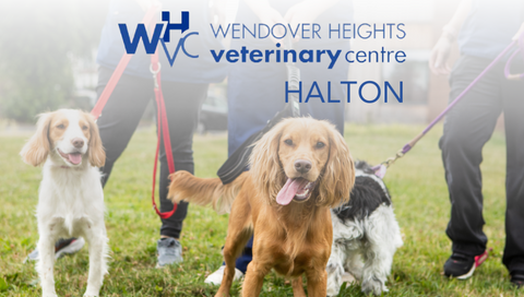 Wendover Heights Veterinary Centre - Aylesbury