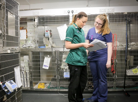 Westway Veterinary Group - Houghton-le-Spring