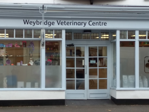 Weybridge Veterinary Centre