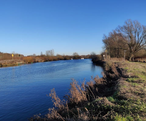 Whitlingham Country Park