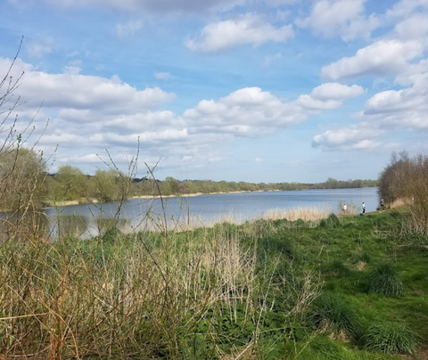 Whitlingham Country Park