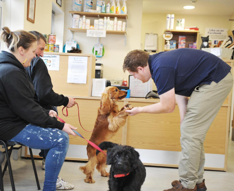 Willows Veterinary Group - Middlewich Veterinary Surgery