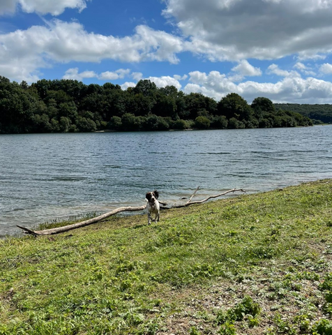 Wimbleball Lake