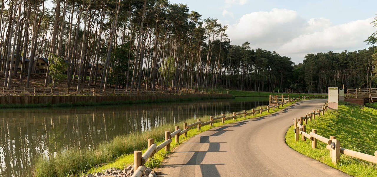 Discover Woburn Forest