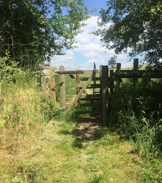 Worcestershire Wildlife Trust’s Upton Warren Nature Reserve