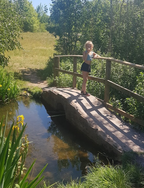 Worcestershire Wildlife Trust’s Upton Warren Nature Reserve