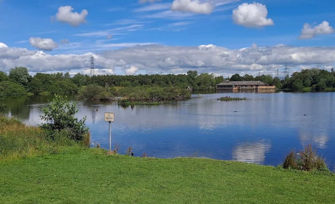 dog swimming glasgow