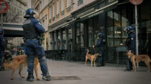 dog training