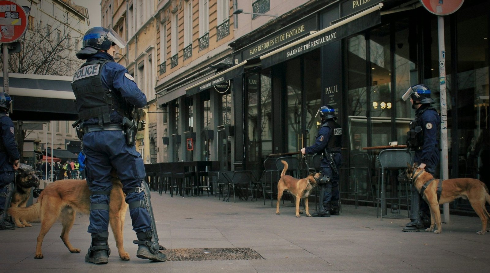 dog training