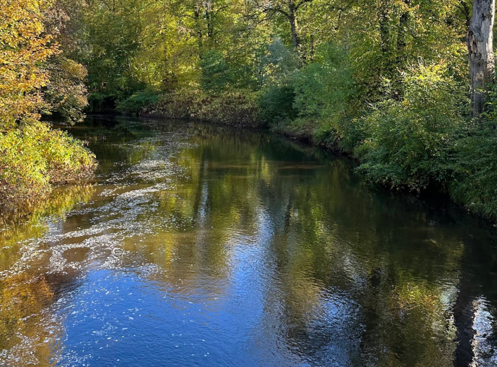 Linn Park & White Cart Water