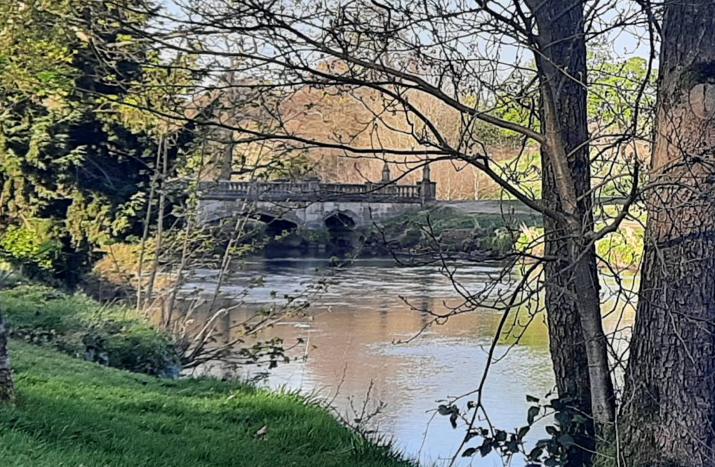 river kelvin