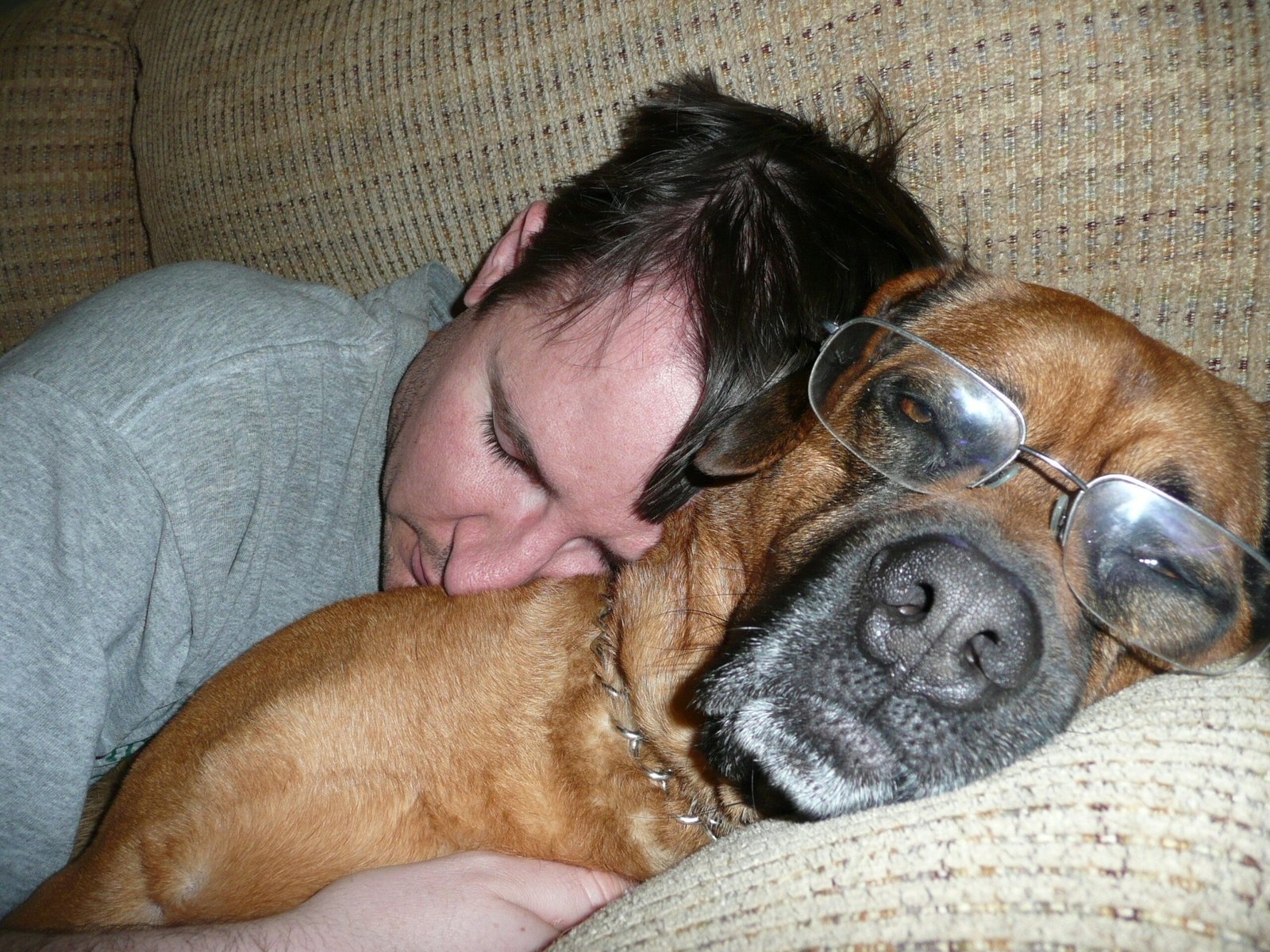 Dog behaviour