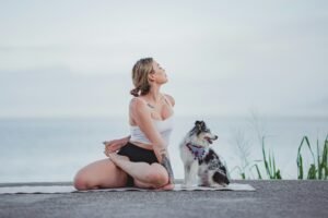 dogs