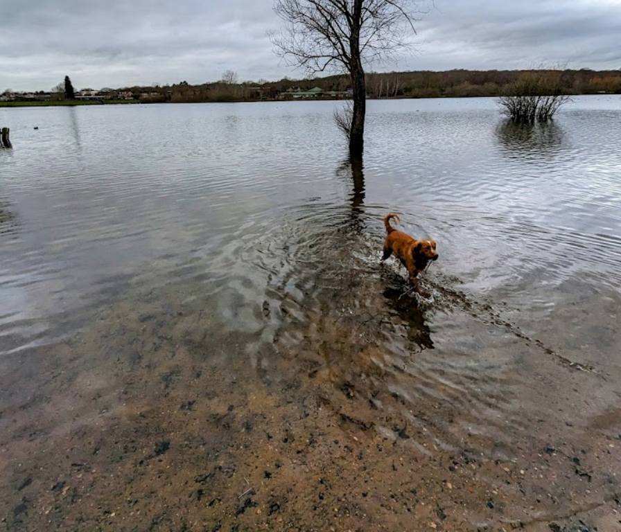 ruislip lido