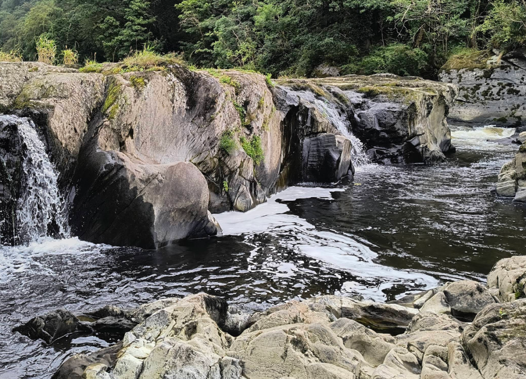 Cenarth Falls