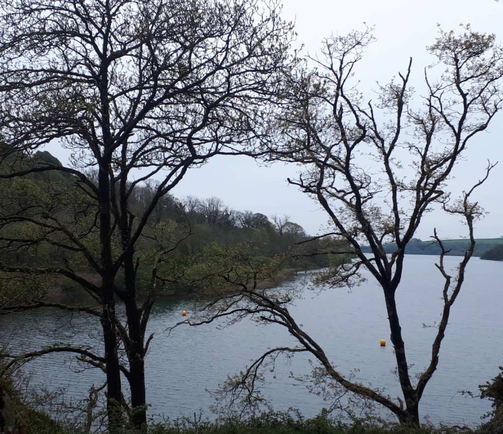 Llys-y-Frân Reservoir