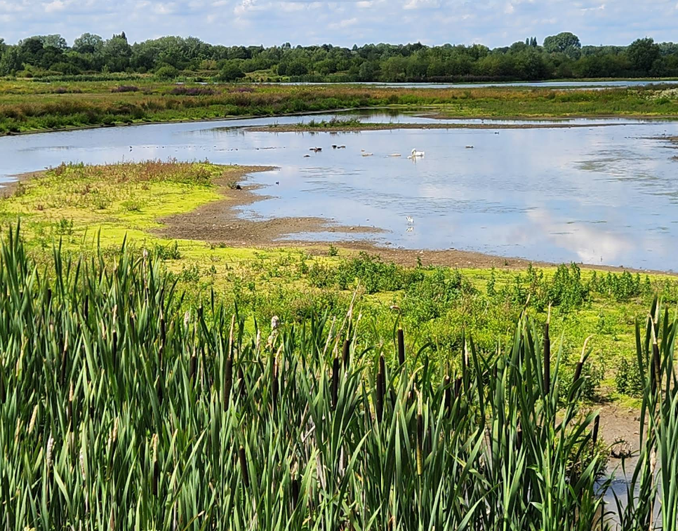 RSPB middleton lakes