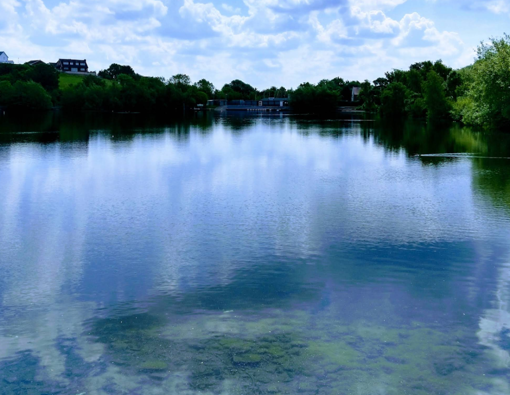 Saltwells Local Nature Reserve